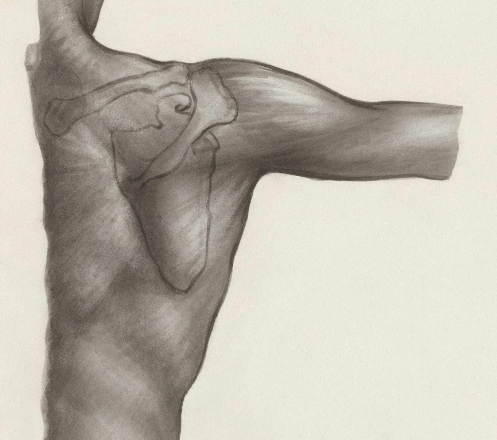 europeana-XE47m9T5EbQ-unsplash